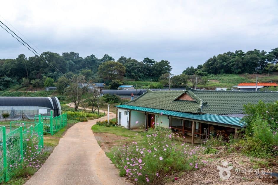 서산시_충남 서산빛들마을 (7)
