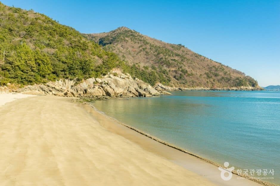완도_가사동백숲해변 (2)