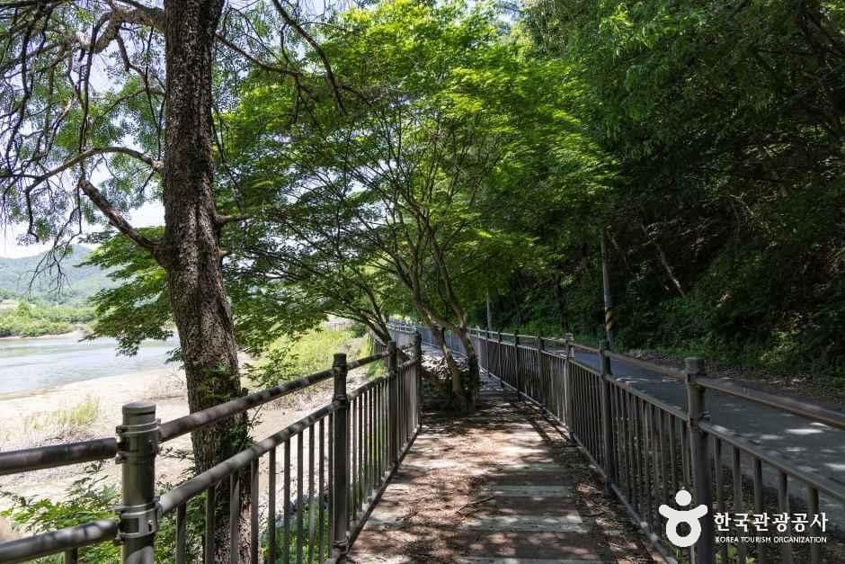 음성_원남저수지(원남제) (1).jpg