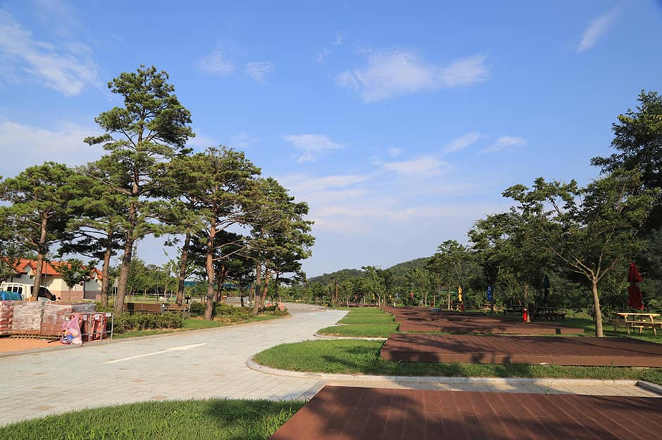 수목화송정마을오토캠핑장_전경