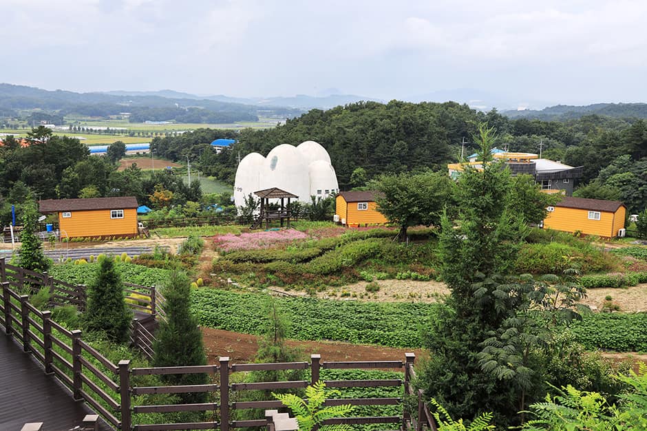 이천농업테마공원국민여가캠핑장 사진 2