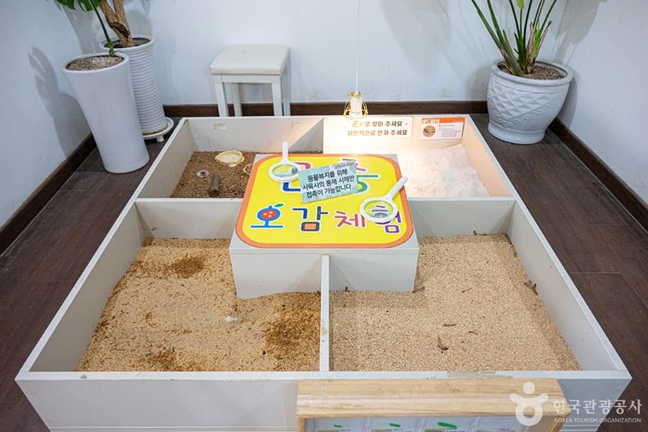 센트럴곤충생태농장 (2)