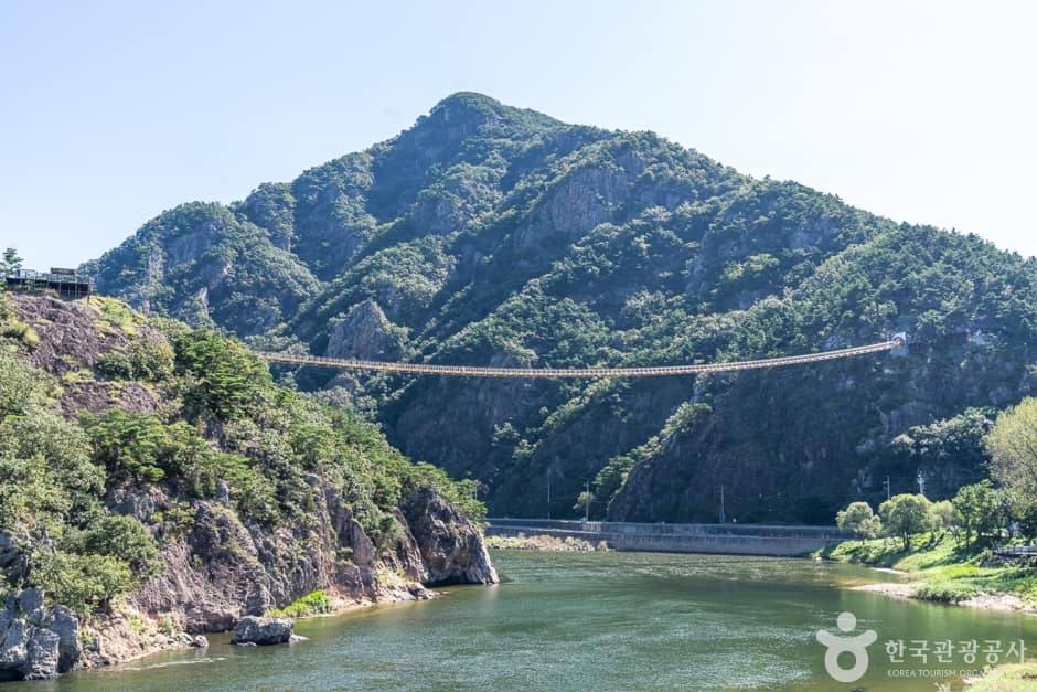 월영산 출렁 다리 (1)