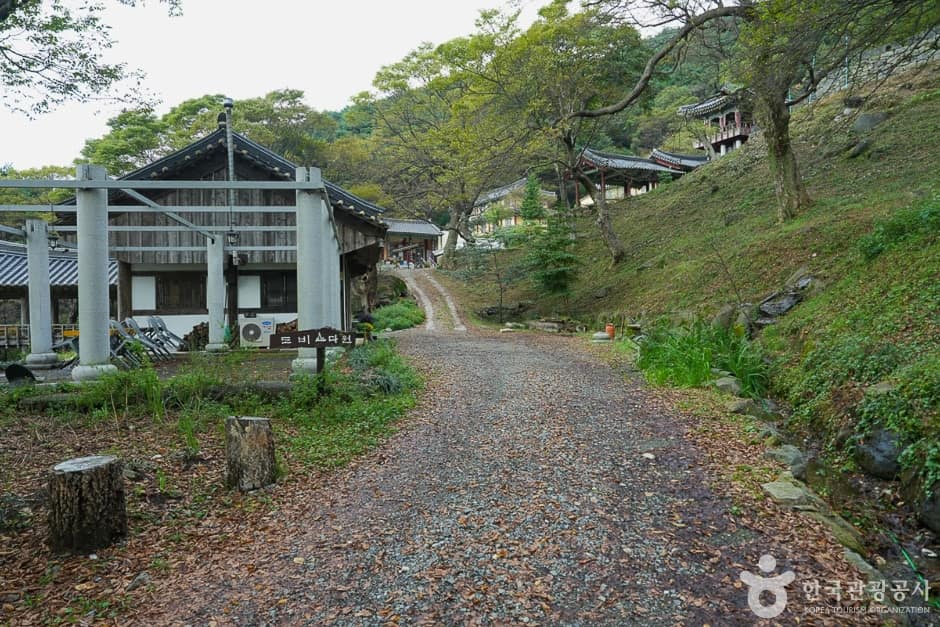 도비 마루길 (14)