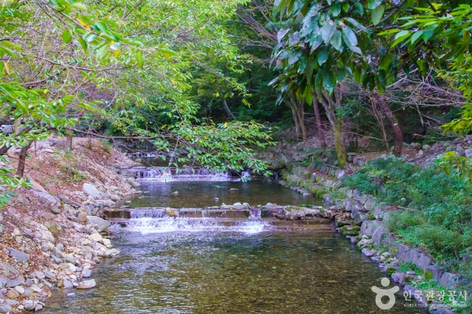 강당골계곡 (4)