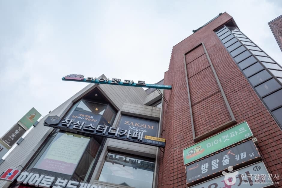미어캣파크 (3)
