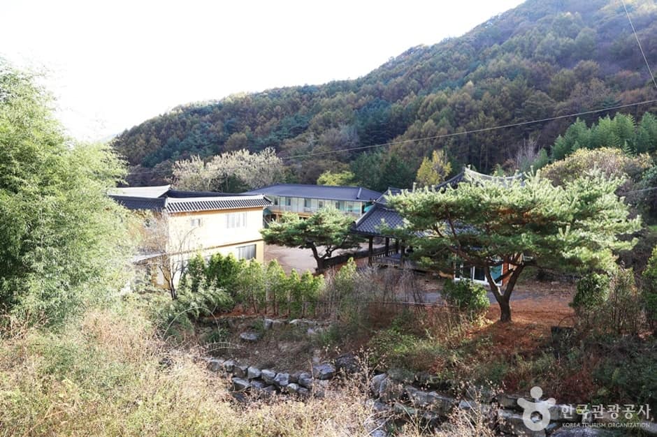 청학동 명륜학당 (15)