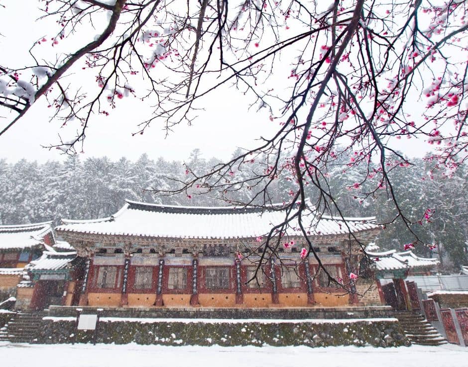 고성_옥천사(고성) (2)