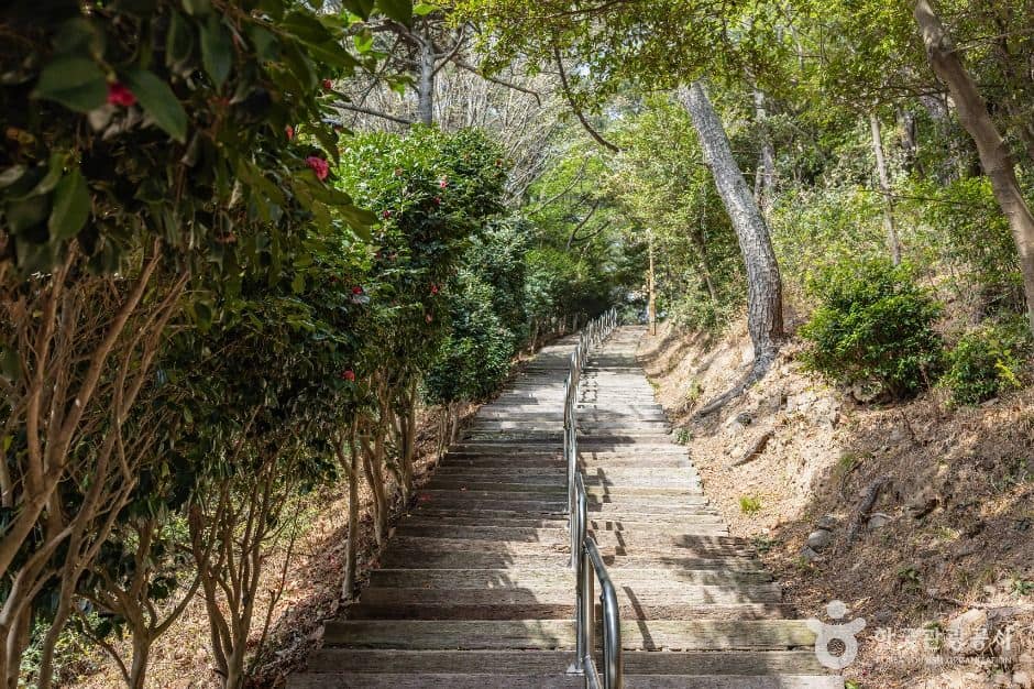 부산_부산 암남공원 (8)