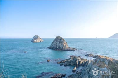 [해파랑길] 1코스