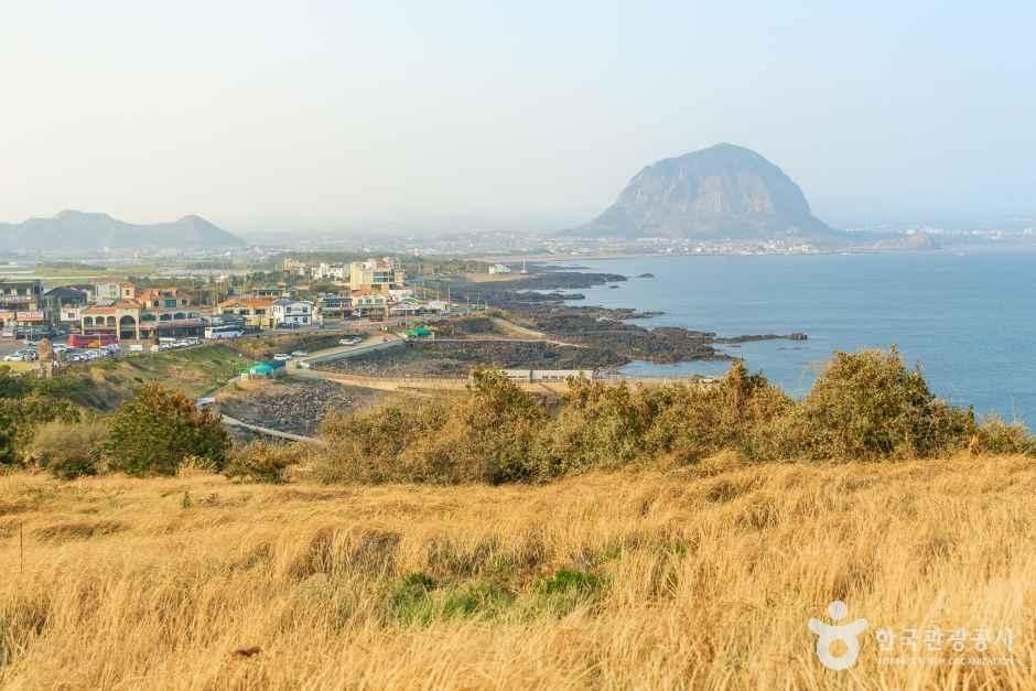 서귀포_송악산둘레길 (7).jpg