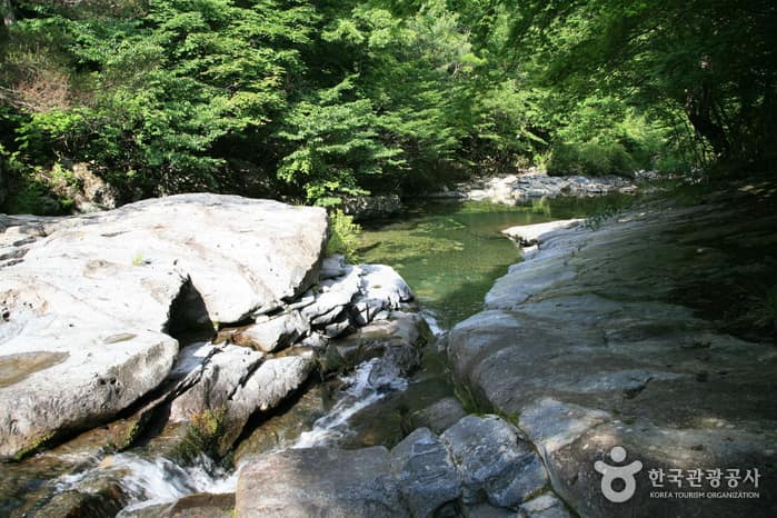 운장산 자연휴양림_06