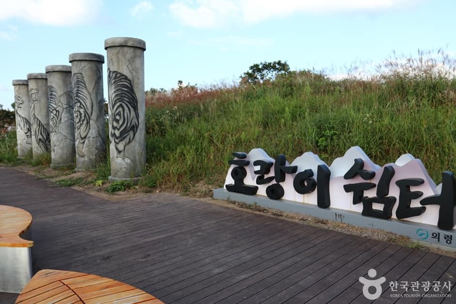 쇠목재 (11)