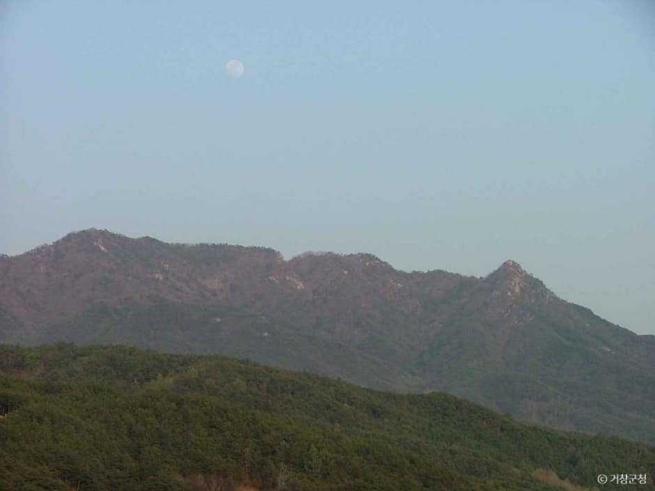 보해산 (1)