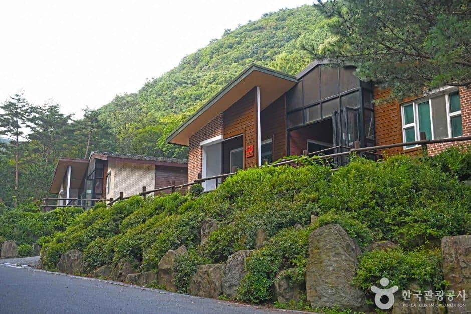 영월_망경대산자연휴양림 (1)