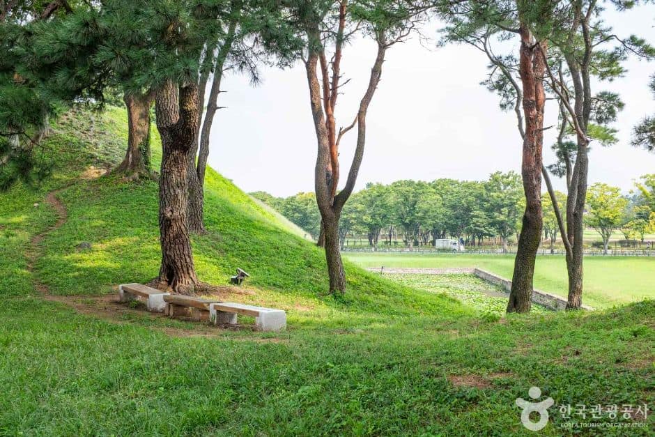 경주_월성이랑 (2)