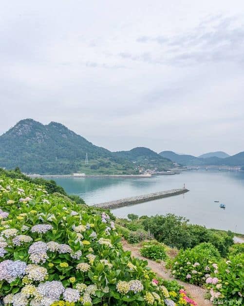 전남 완도 목포 무안 영광 고흥 여수 순천 가볼만한곳, 미식 여행 코스 추천_고흥 쑥섬_7-1