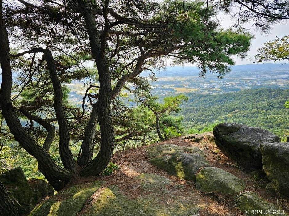 익산_미륵산(익산) (5)