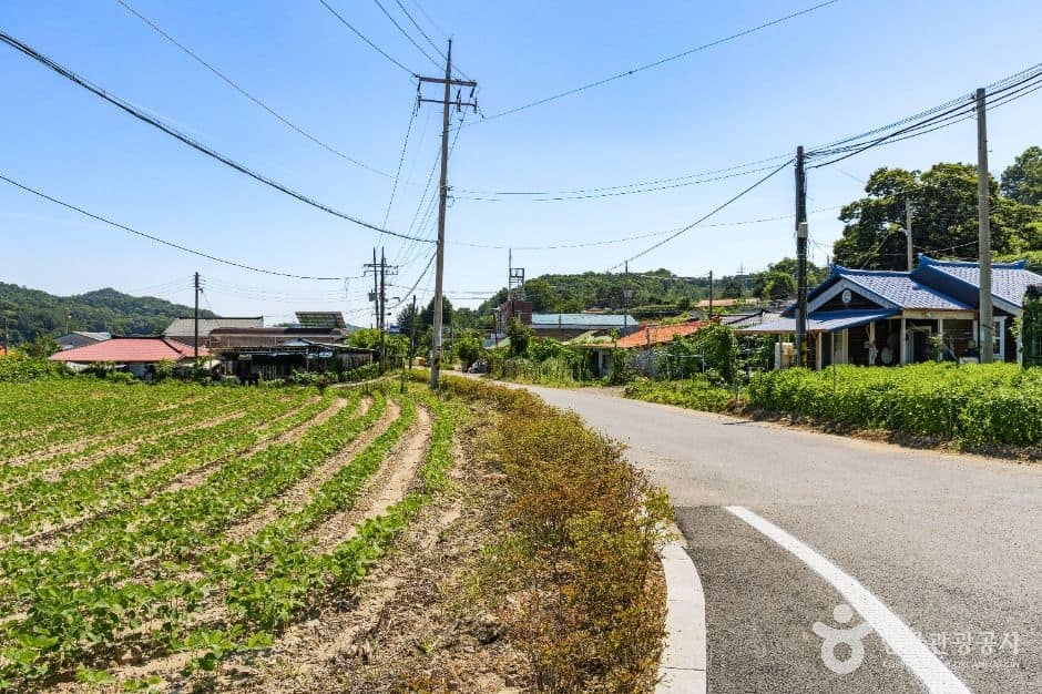 연천_연천 옥계마을 (7)