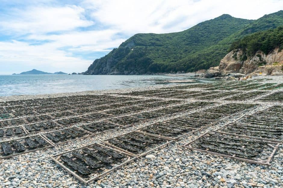 거제_여차해변 (여차몽돌해수욕장) (2)