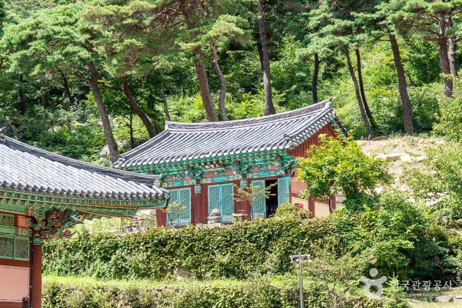 구미_대둔사(구미) (3)