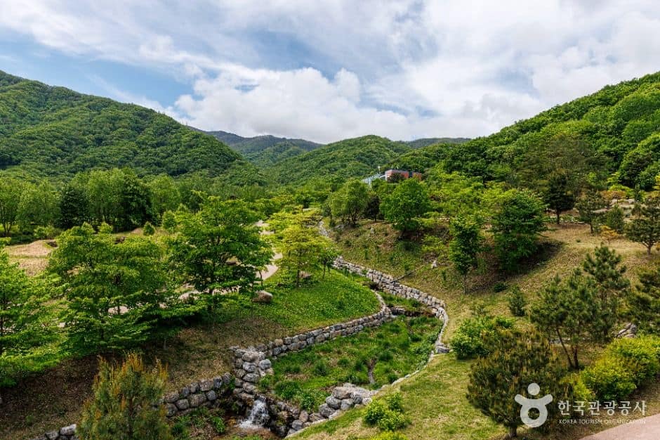 DMZ자생식물원