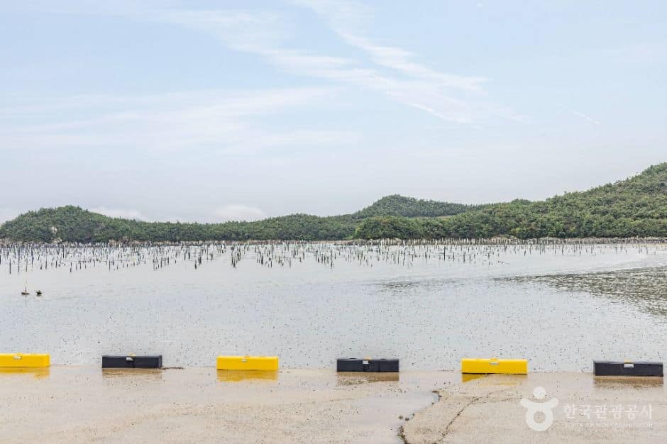 신안_자은 고교선착장 (1)
