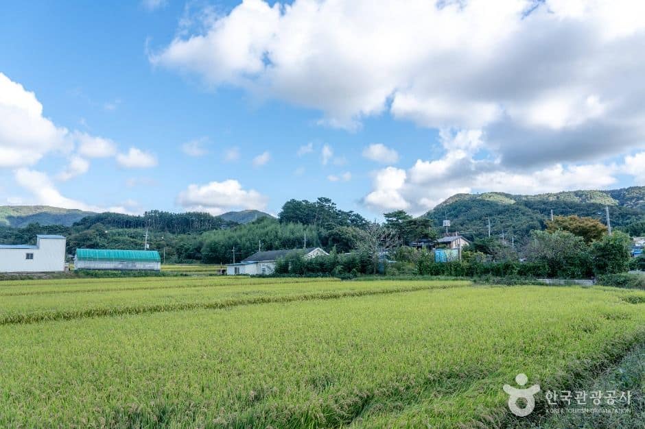 서천_남당리 행복마을 (4)