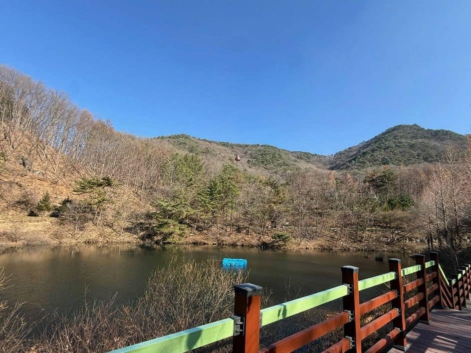 보은_충북알프스자연휴양림 (1)