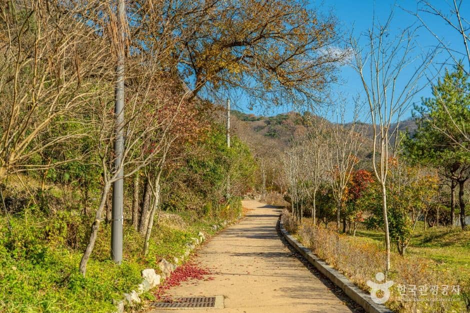 화순_세량지 (9)