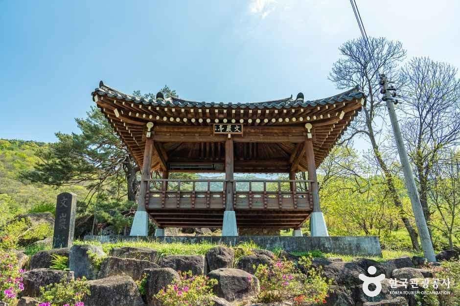 하동_하동 축지리 문암송(악양문암송) (1).jpg