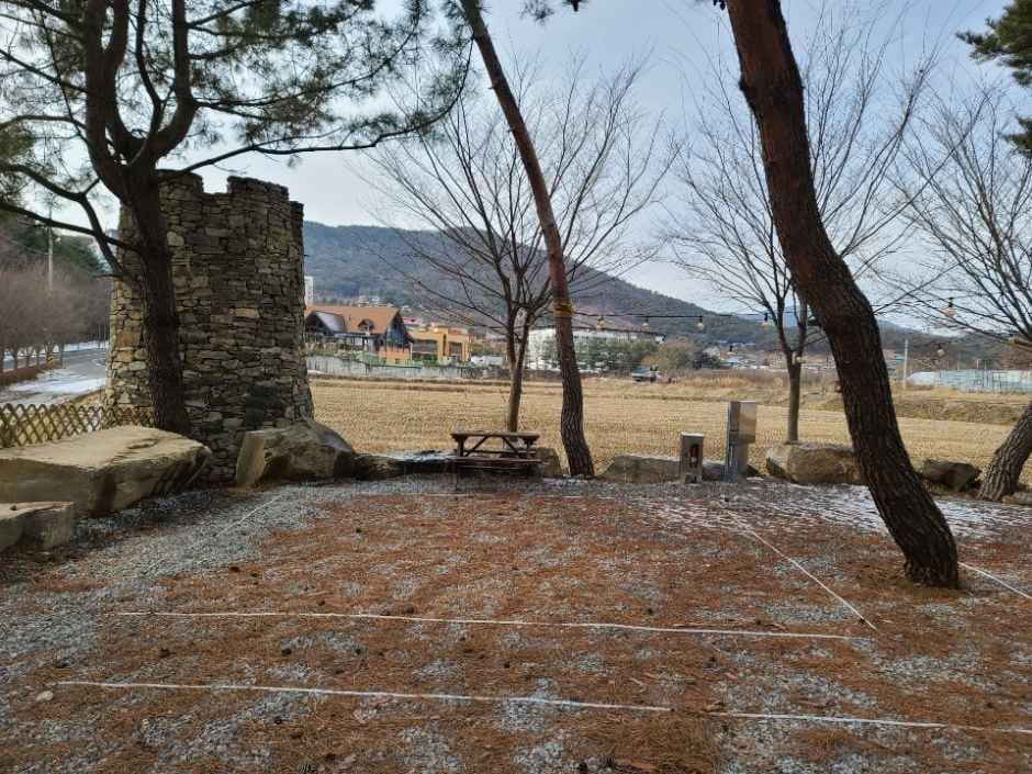 예산_포시즌오토캠핑장 (1).jpg