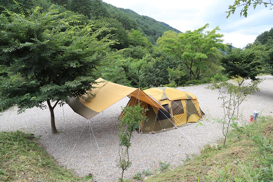 강원도_영월군_달과별캠핑장_텐트