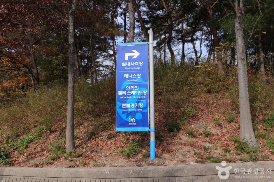 문수인라인롤러스케이트장 (1)