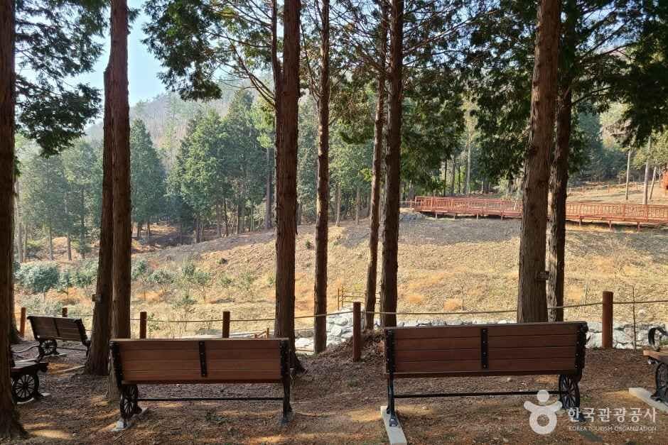 운림산림욕장 (3)