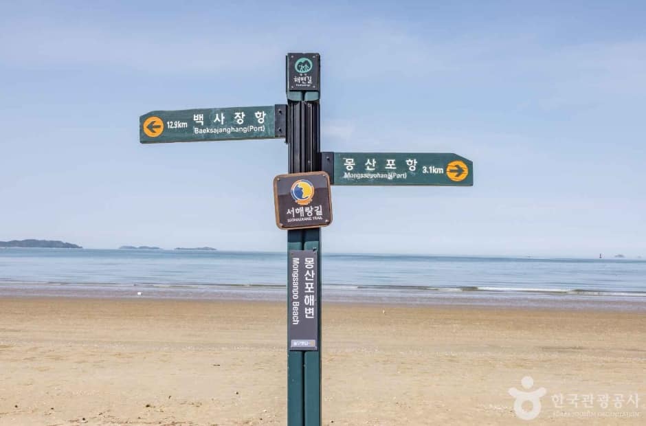 몽산포해수욕장 (6)
