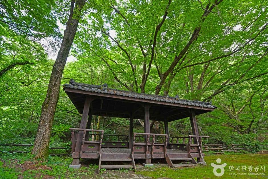 단양_소백산 가리점마을(마조리마을) (2)
