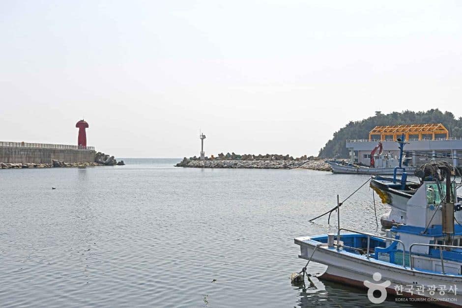 기사문항 (6)