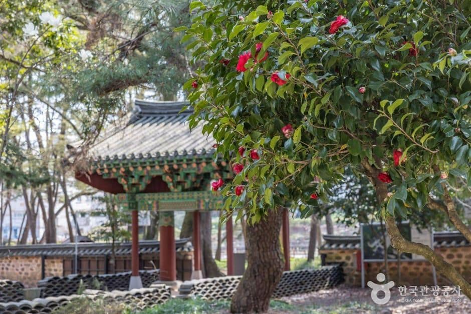향림사(순천) (9)