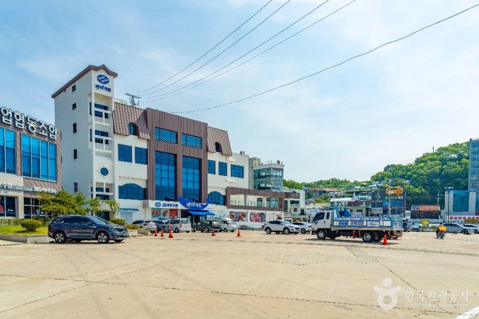 울진_한마음광장 (1)