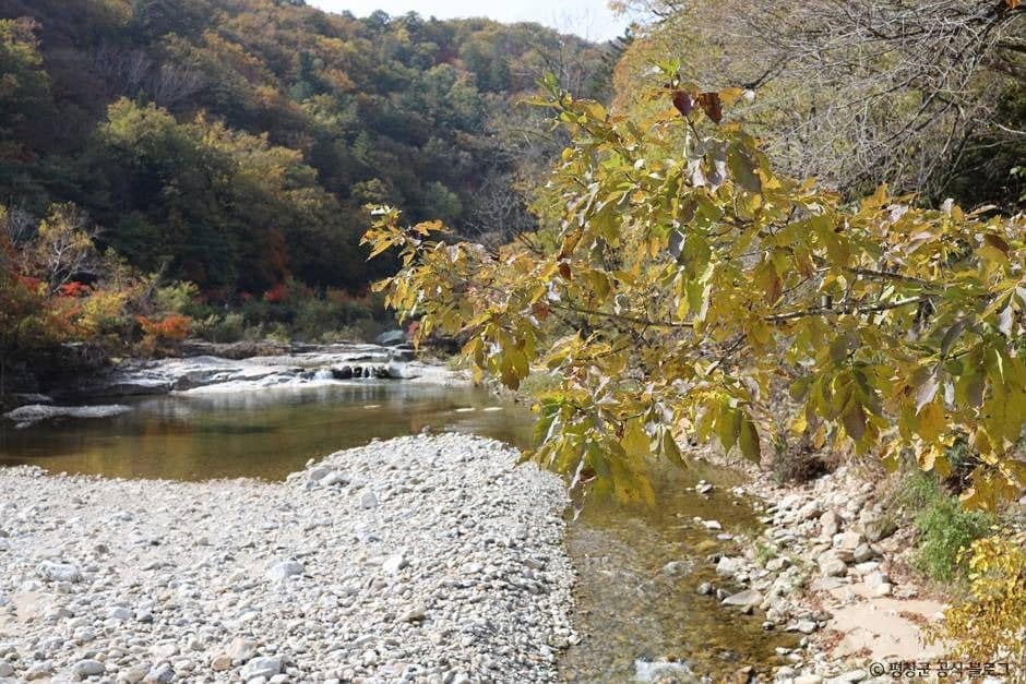 평창_오대산 선재길 (1)