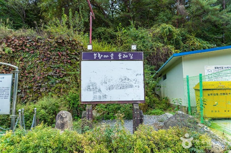 평창_봉황둘레길 (1)