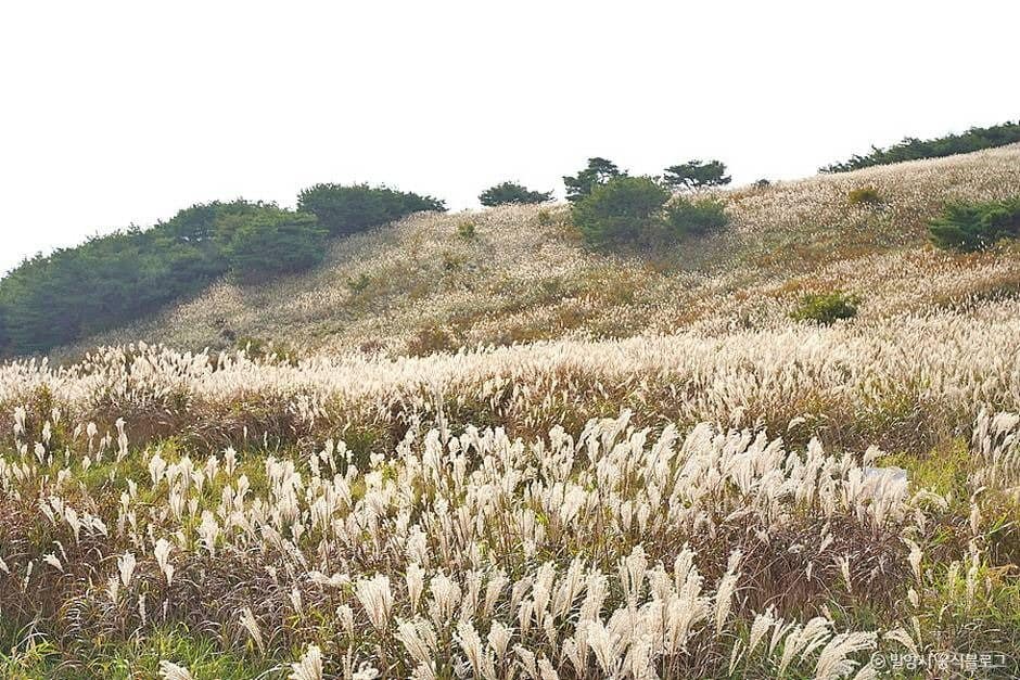 밀양_재약산 (6)