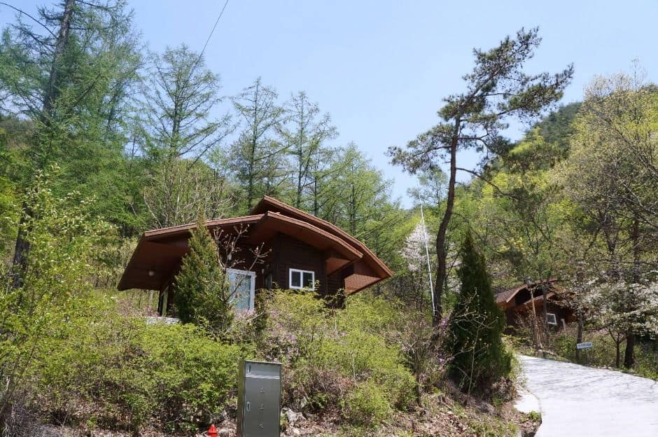 보은_국립속리산말티재자연휴양림 (9)