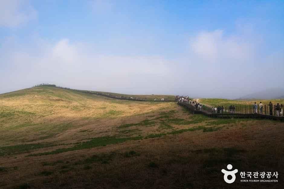 충남_서산_서산한우목장 웰빙산책로_외부_4.jpg