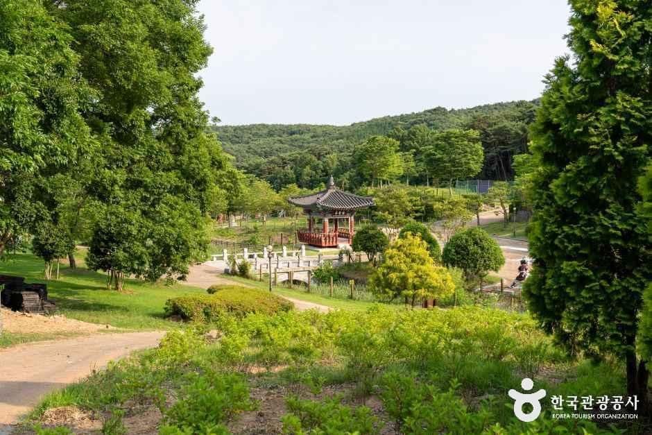 전남_장성_홍길동 테마파크_외부_2.jpg