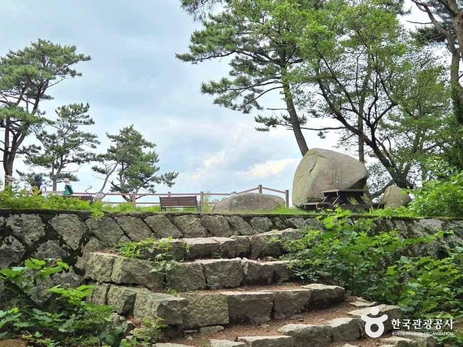 부산_동래_금강공원_외부_6.jpg