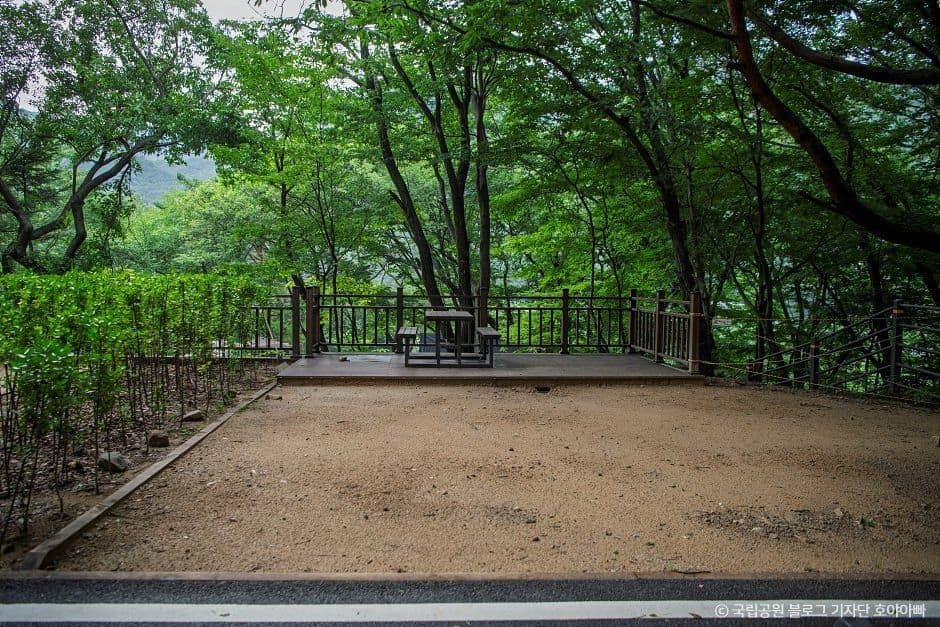 공주_계룡산동학사야영장 (8).jpg