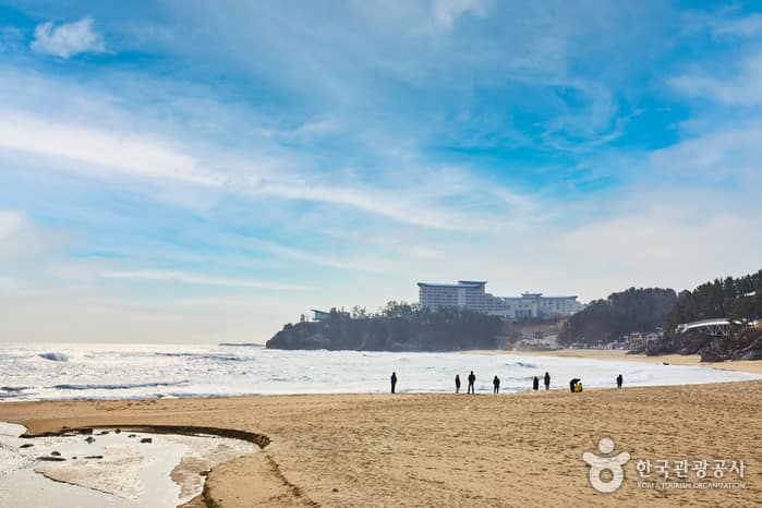 추암해변 9