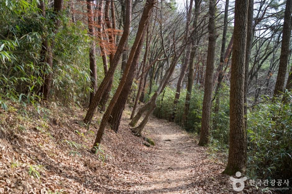 경남_하동_[하동 박경리 토지길 2코스] 십리벚꽃길~국사암 (1)